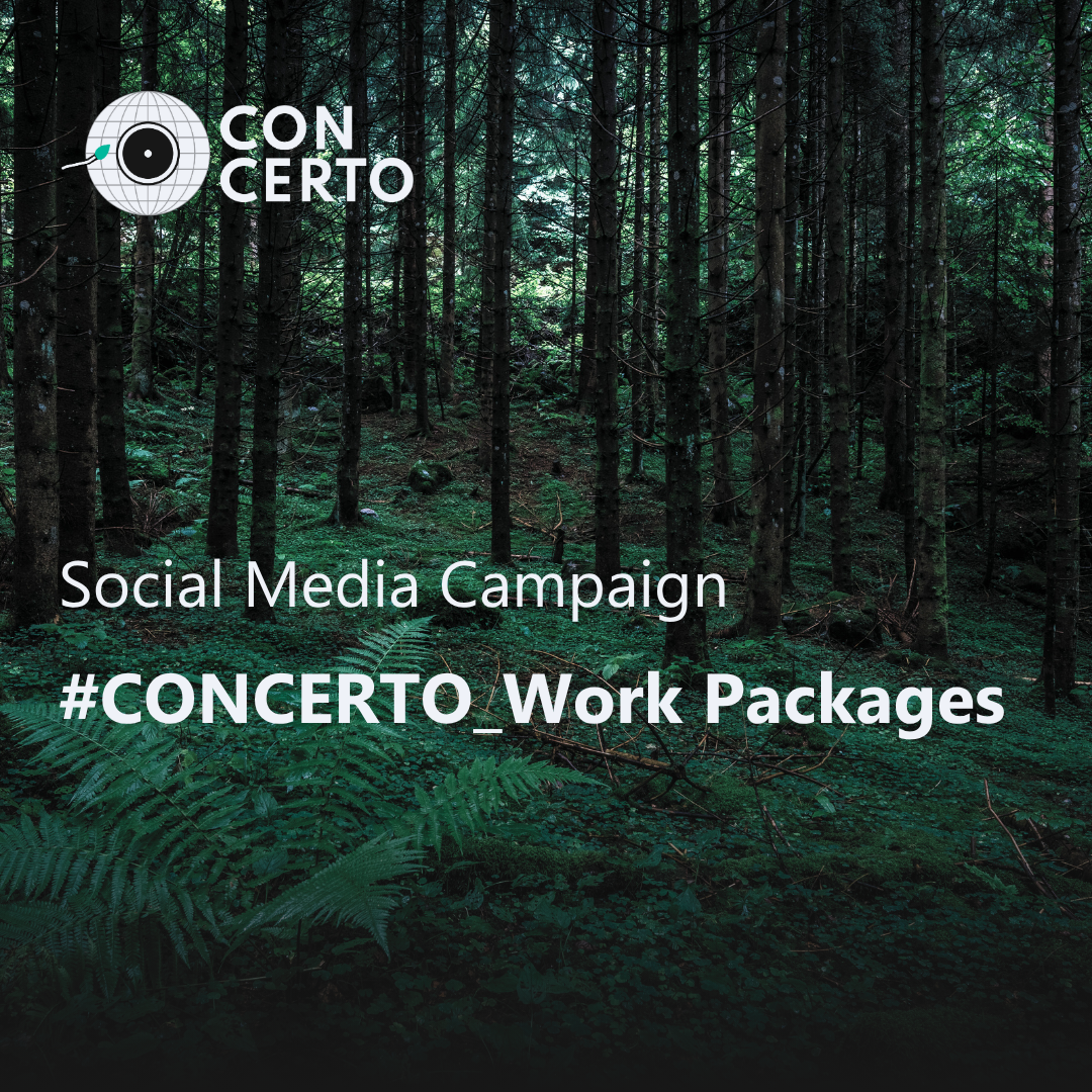 CONCERTO launches its first social media campaign: Spotlight on the Work Packages