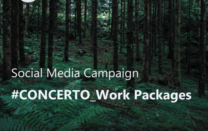 CONCERTO launches its first social media campaign: Spotlight on the Work Packages