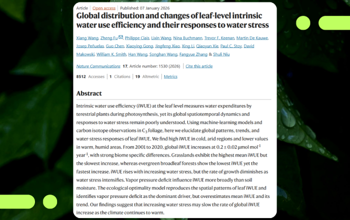 New study reveals how plants worldwide respond to increasing water stress